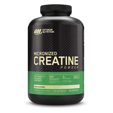 Cargar imagen en el visor de la galería, CREATINA MICRONIZED POWDER (300 gr - 600 gr) - OPTIMUM NUTRITION